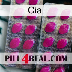 Cial 10